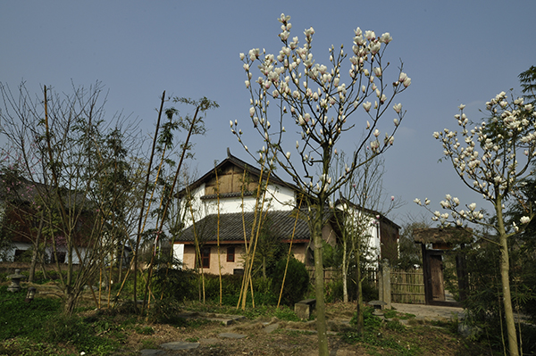 农家小院.JPG