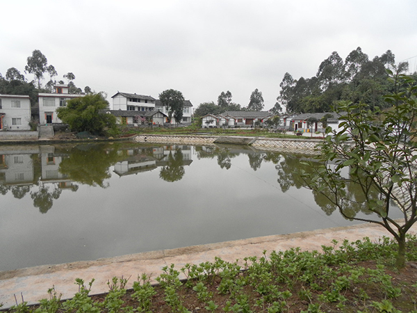 箭口村新农村建设水产基地.JPG