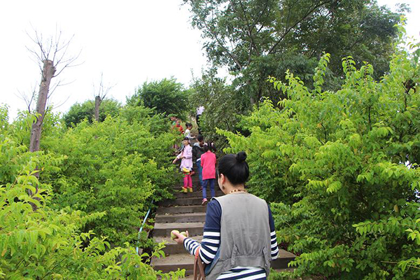 树林小道.jpg