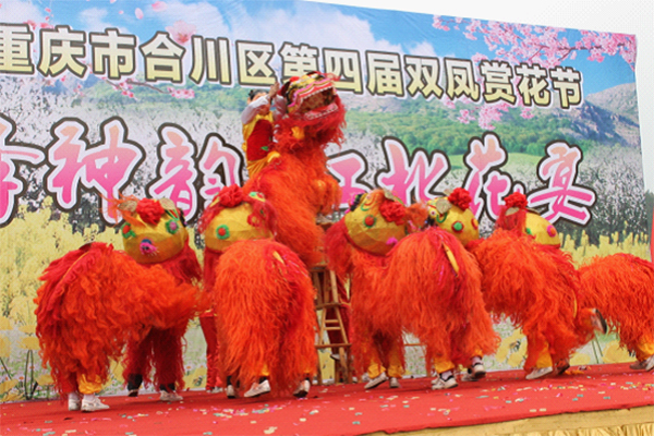 双凤狮舞 区级非物质文化遗产6 副本.jpg