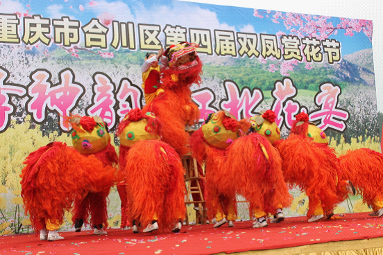 双凤狮舞 区级非物质文化遗产6.png