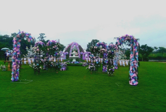 婚纱草坪.png