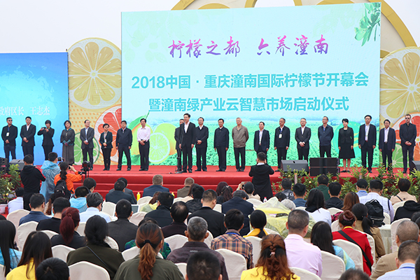 2018年中国·重庆国际柠檬节开幕会现场.JPG