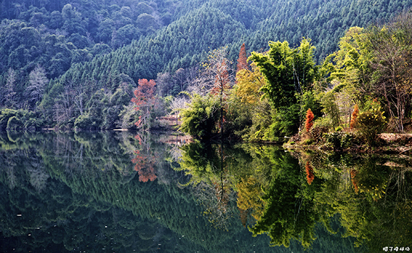 景区湖景.jpg