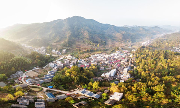 坪田全景.jpg