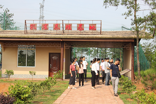 孔雀养殖园.jpg