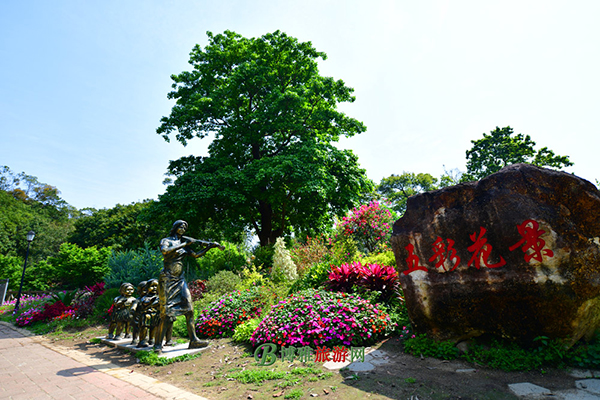 wb383448624.jpg