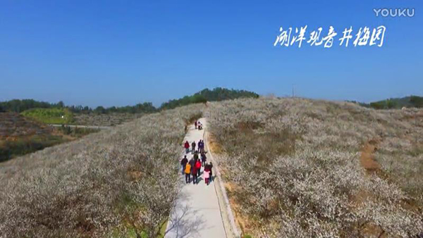 湖洋百果园4.JPG
