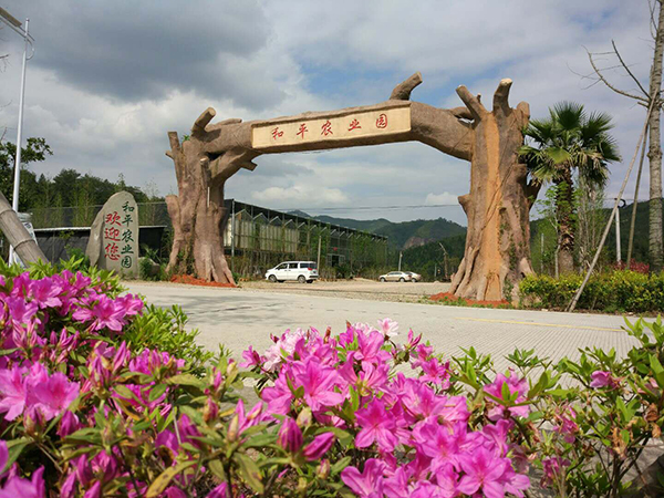 园区大门.jpg