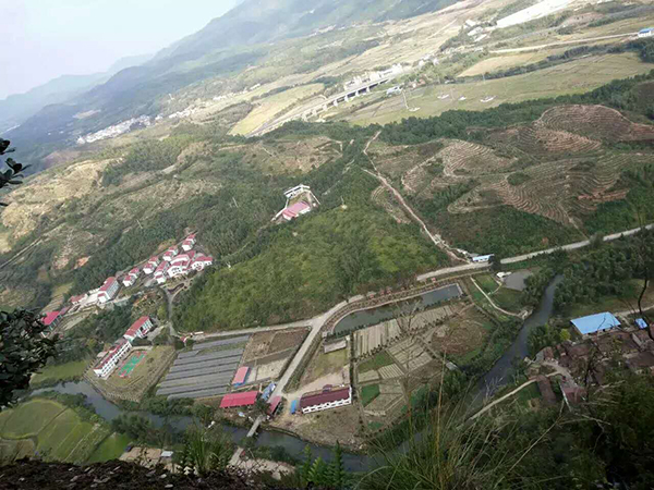 园区俯视图.jpg