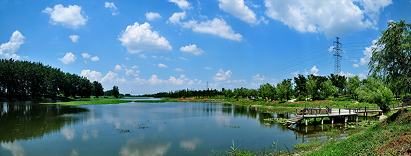 湿地风光.jpg