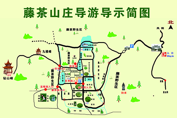 导游导示简图.jpg
