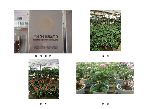 铜牌 及办公楼 副本.jpg