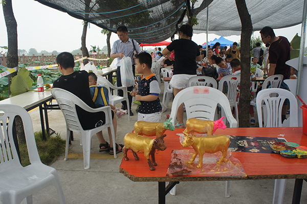 DSC08908.JPG