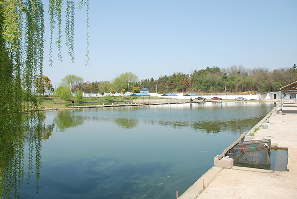 DSC_1654.JPG