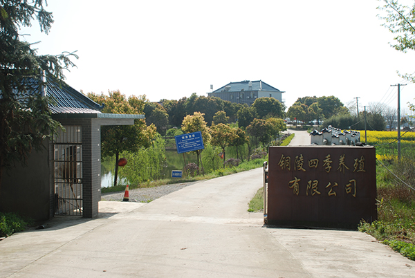 DSC_1660.JPG