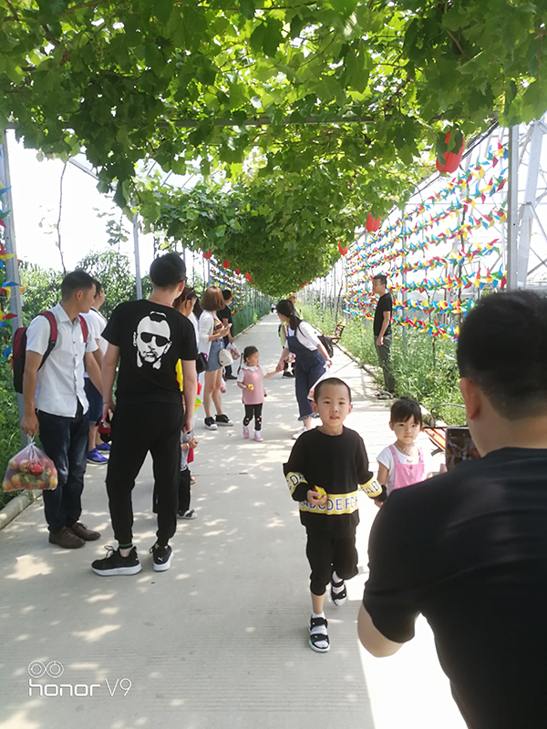 乐摘2.jpg
