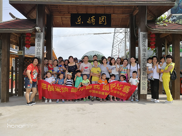 乐摘5.jpg