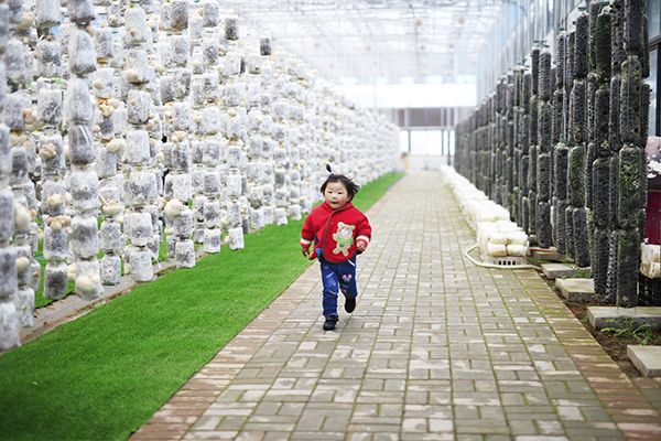 5-野树林蘑菇园-3.jpg