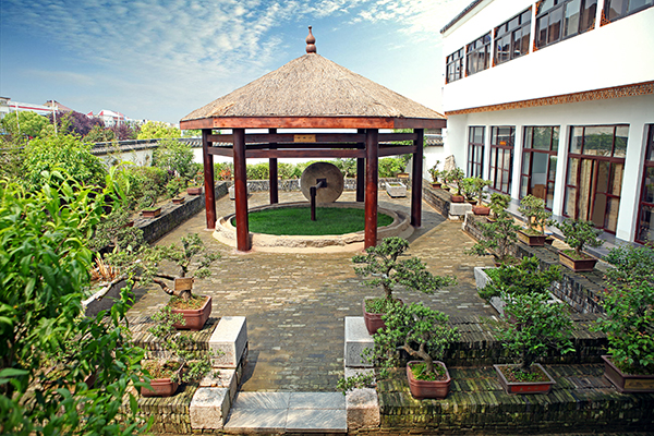 盆景园.JPG