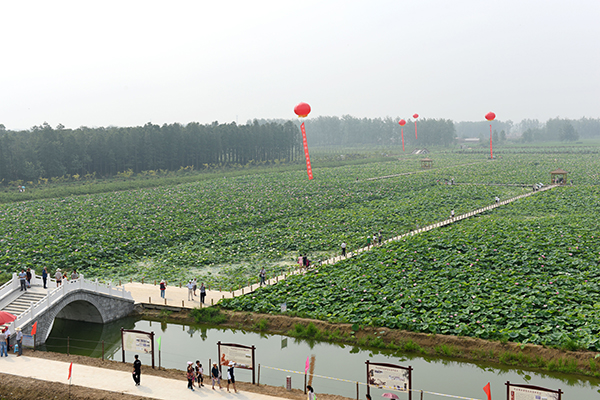 杉荷园 朱瑞  摄 (1).JPG