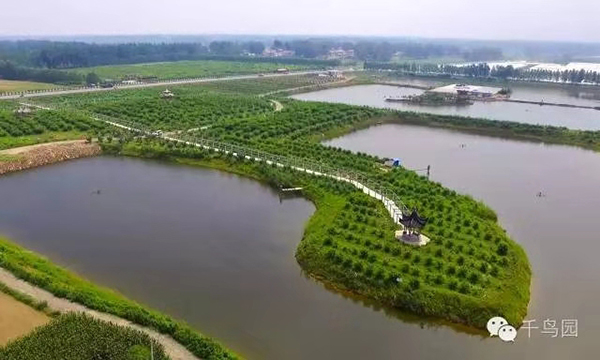 桃源梦.jpg