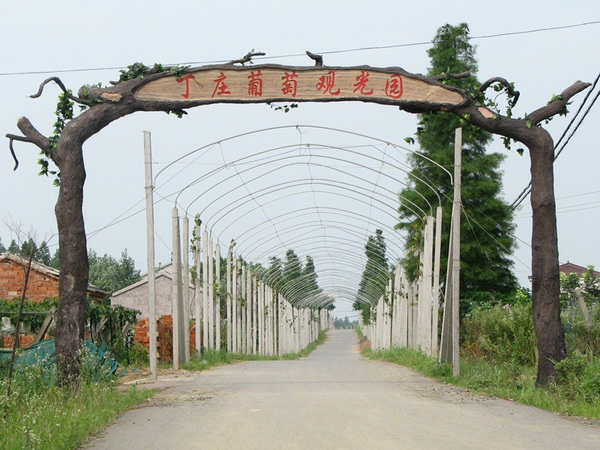 观光园.jpg