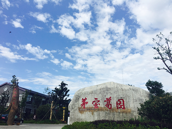 葛园大门.jpg
