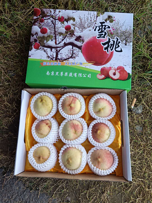 c84663b6acb21fcdd9cb6a94b695a03.jpg