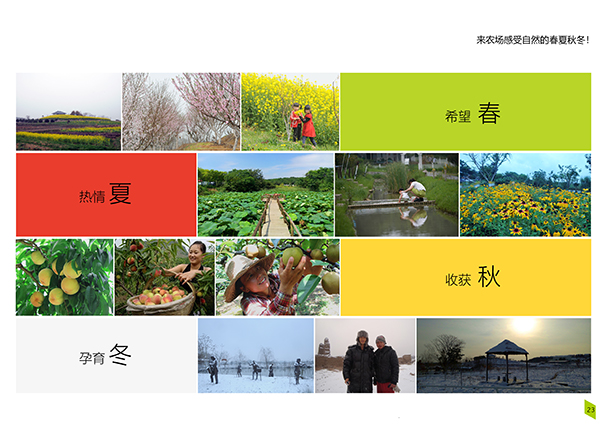 春夏秋冬图.jpg