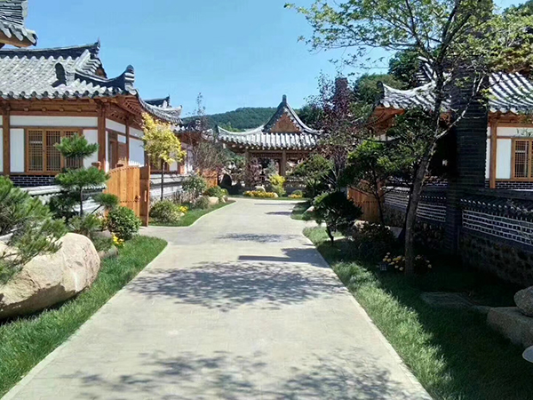 村内景色.jpg
