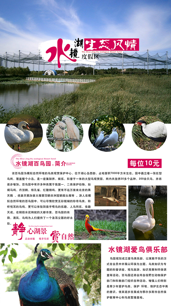 百鸟园.jpg
