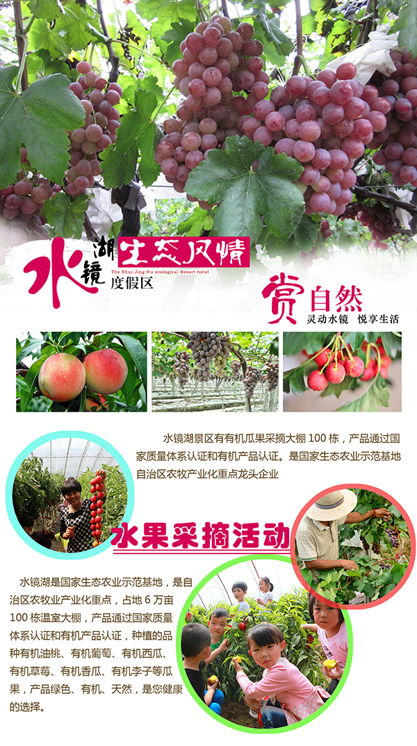 水果采摘改过的.jpg