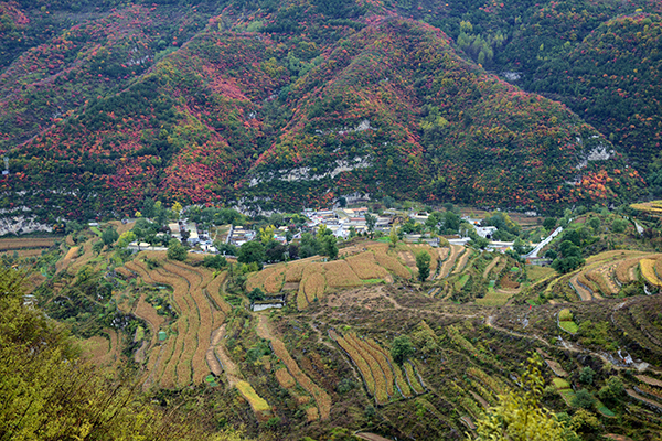 垴上村.jpg