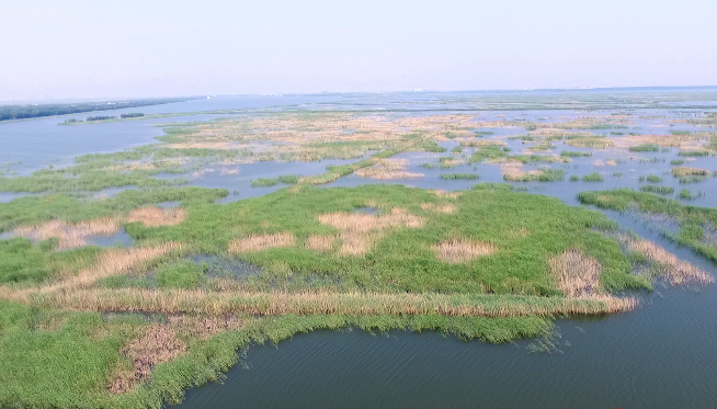 2河北衡水市衡水湖.jpg