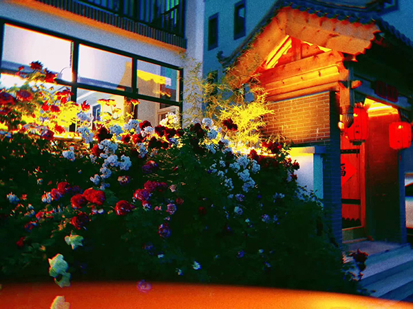 花开似锦.jpg