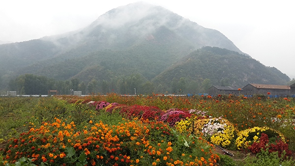 喜鹊登科满族风情园.jpg