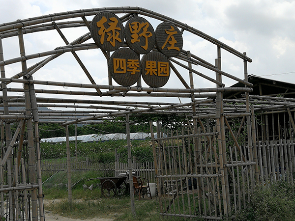 图片10.jpg