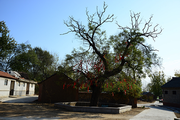 产芝村景点.jpg