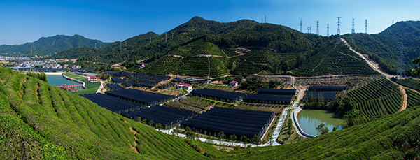 枫康全景.jpg