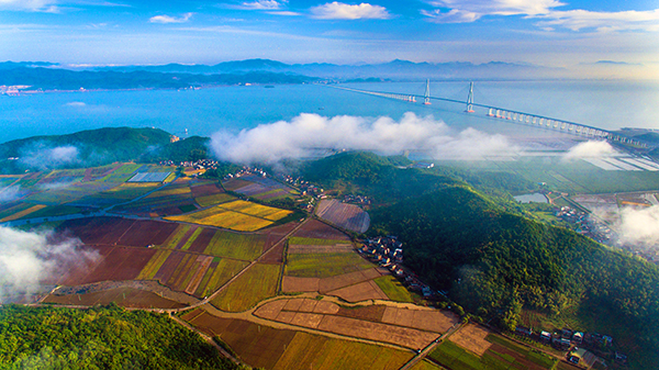 黄避岙彩色田园.jpg