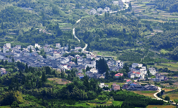 儒雅洋村全景.jpg