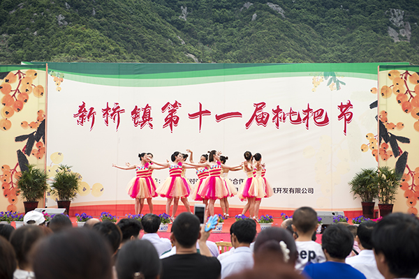 新桥枇杷节.jpg