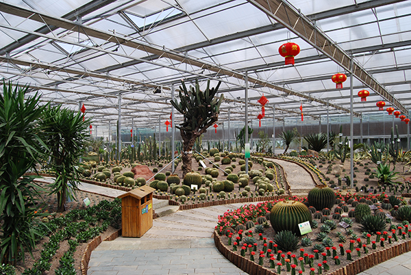 天宫热带植物园.jpg
