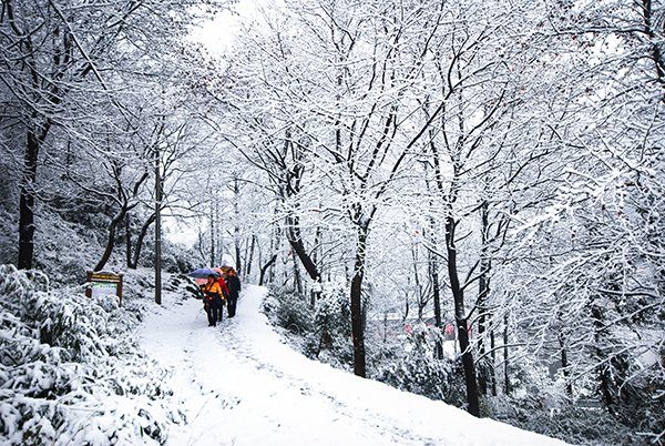 古道雪景.jpg