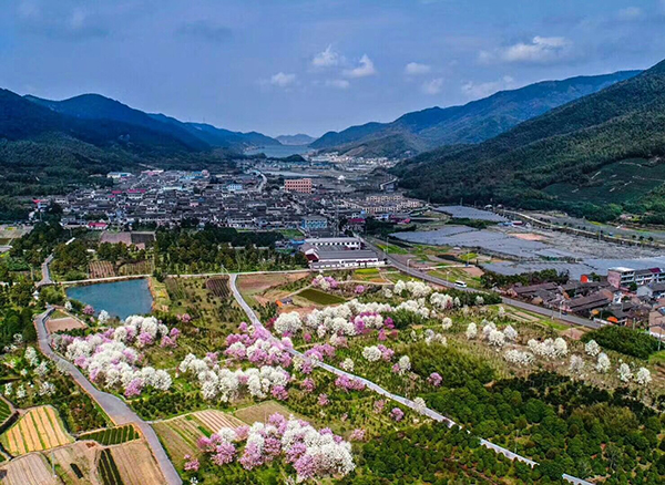 上任花海.jpg