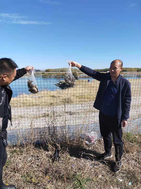 草荒蟹肥.jpg