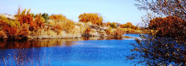 3c02b462-9f16-4fff-89a7-2b0b81b791c9_555_370.jpg