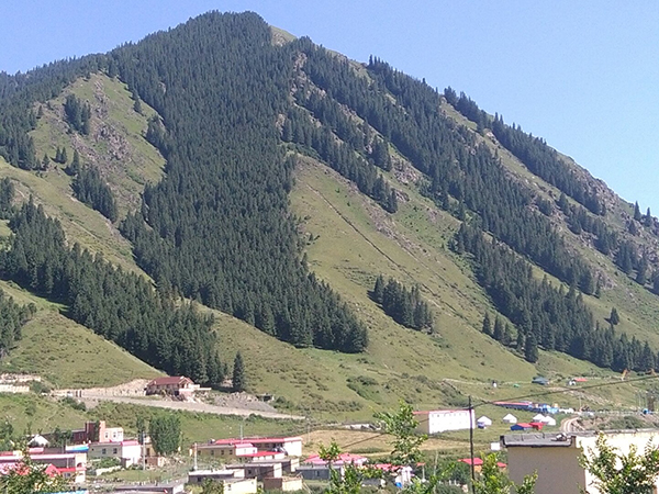 U020190703571267653664.jpg