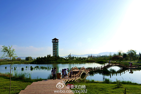 湿地博物馆.jpg